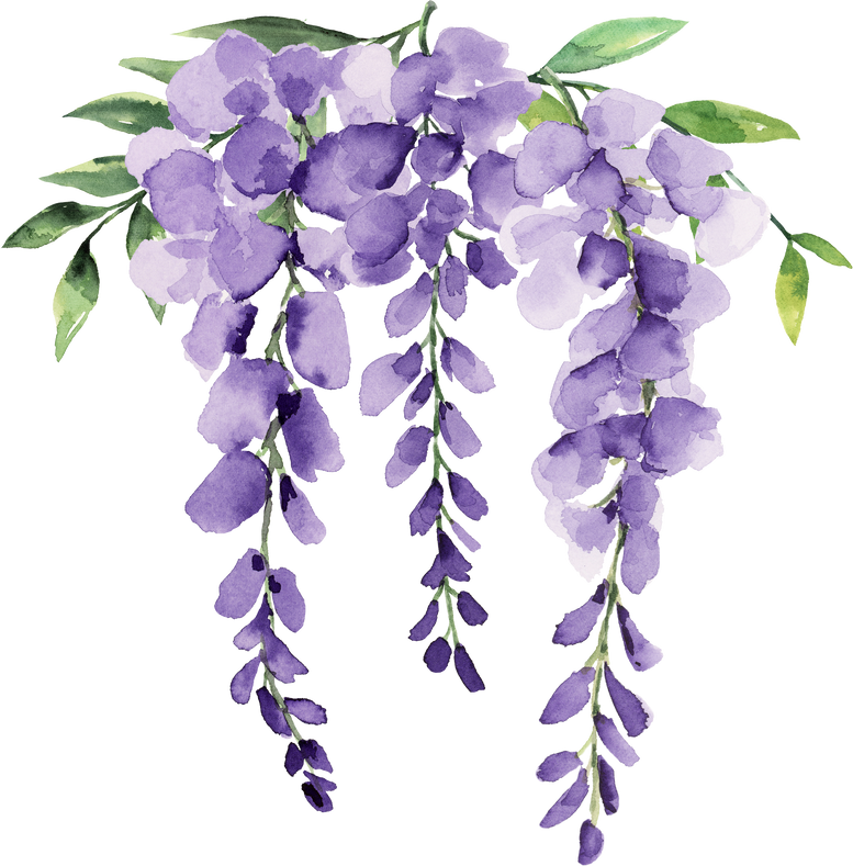 wisteria border purple flower watercolor element 3